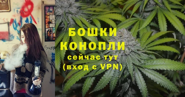 шишки Верхний Тагил