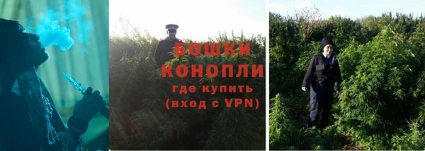 шишки Верхний Тагил
